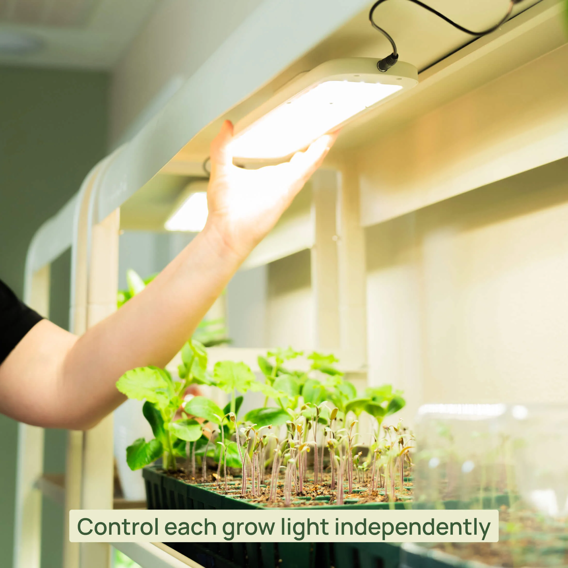 4 Tier Grow Light Garden with Storage - Image 8