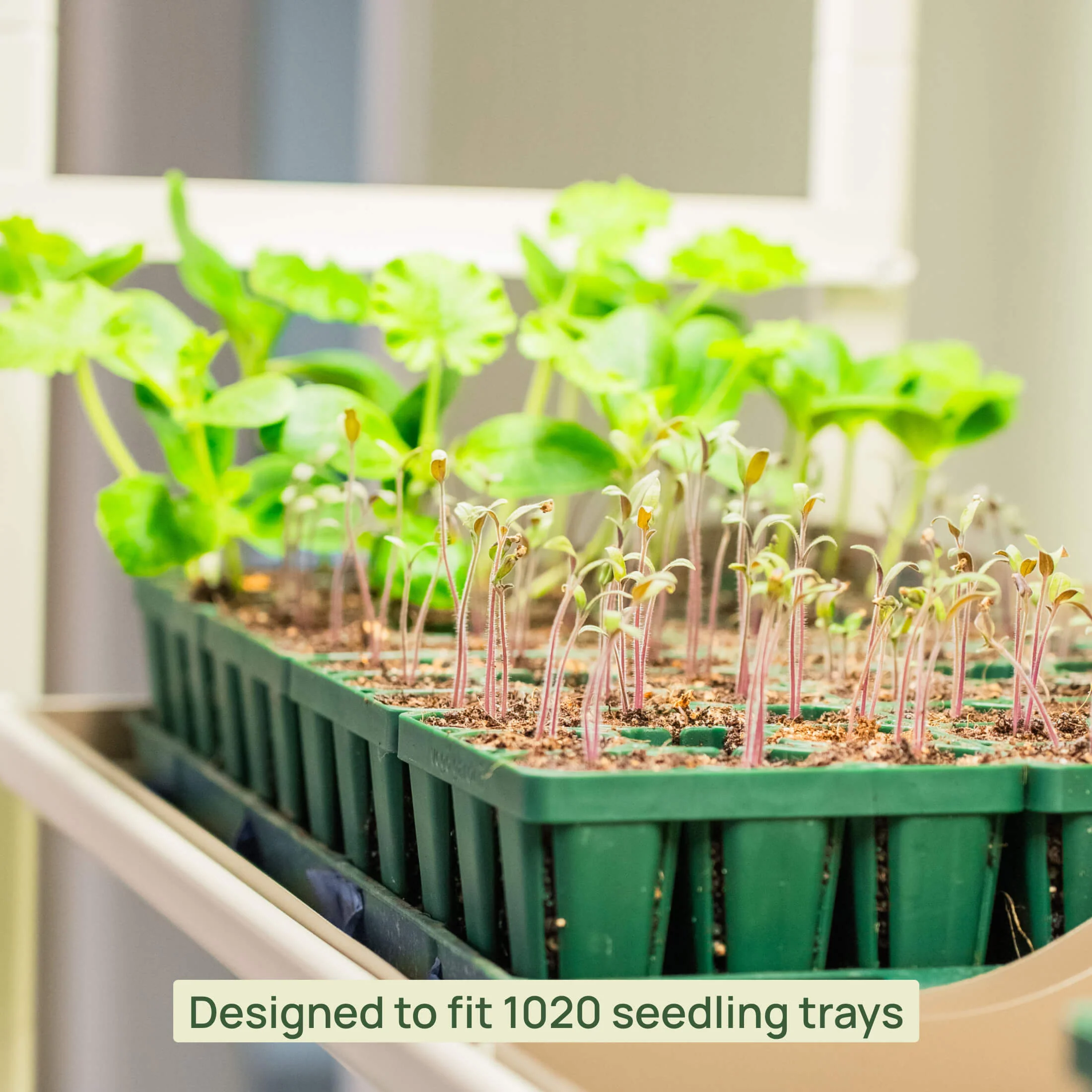 4 Tier Grow Light Garden Pro - Image 11