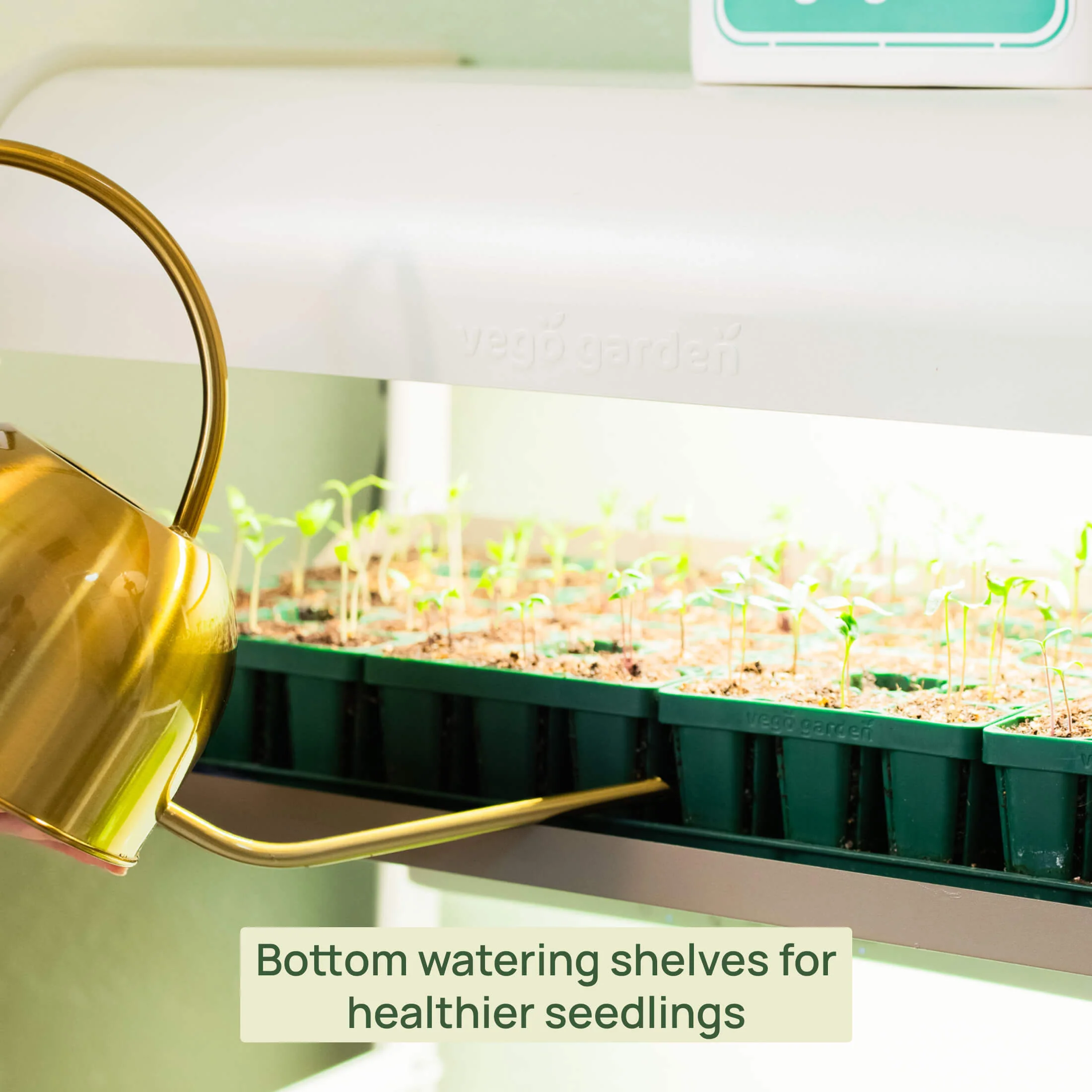 4 Tier Grow Light Garden Pro - Image 12