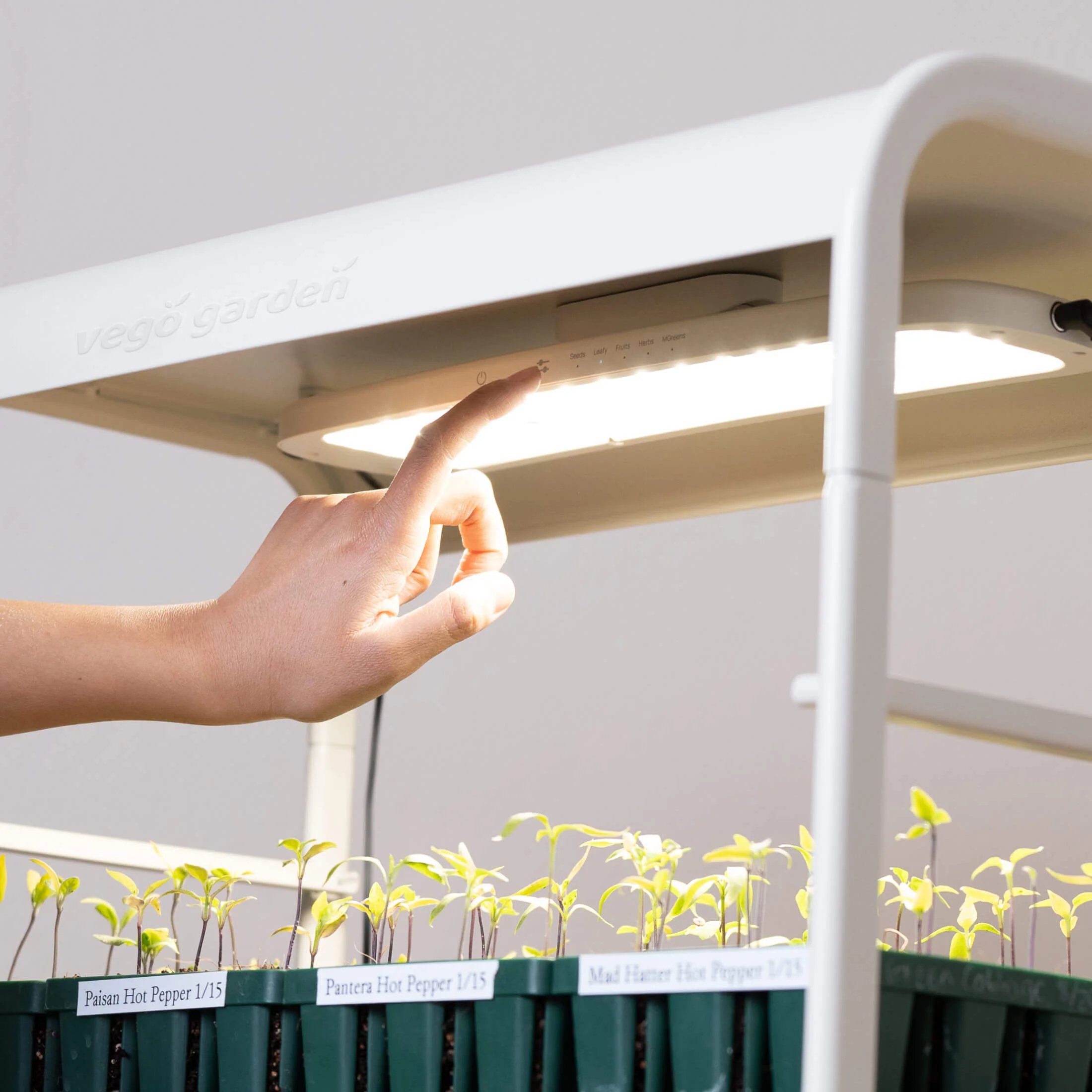1 Tier Tabletop Grow Light Garden - Image 14