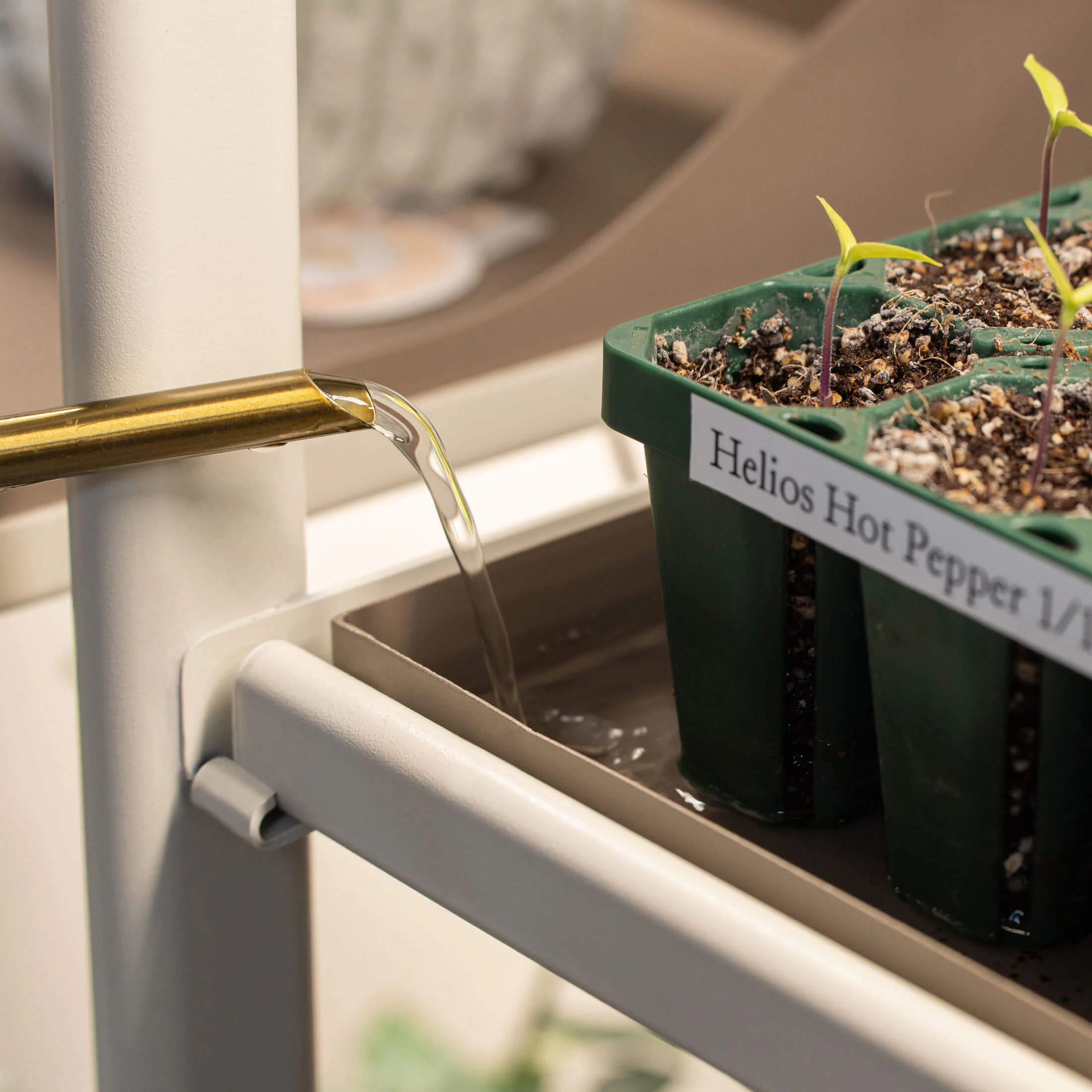 1 Tier Tabletop Grow Light Garden - Image 15