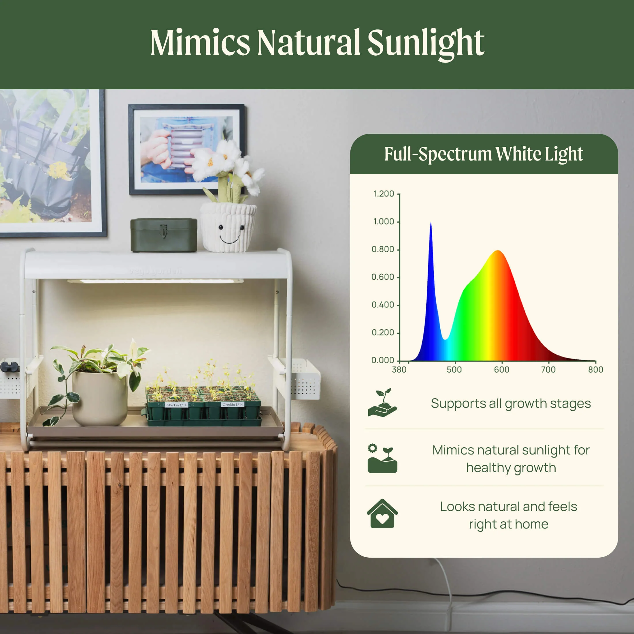 1 Tier Tabletop Grow Light Garden - Image 4