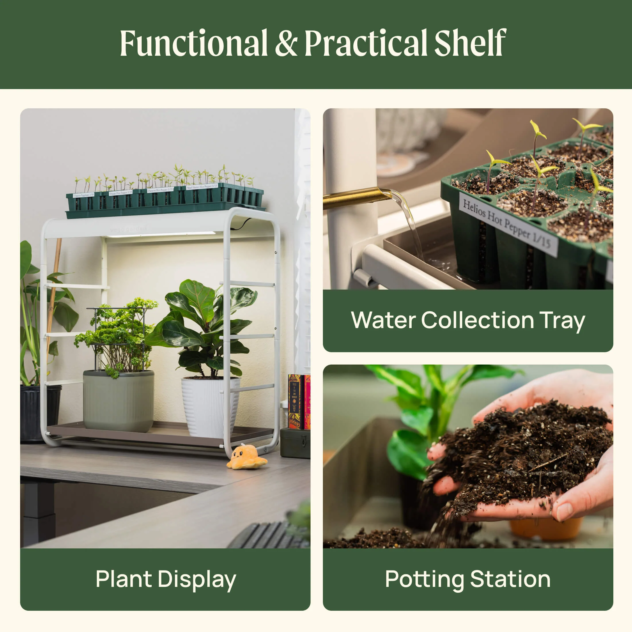1 Tier Tabletop Grow Light Garden - Image 6