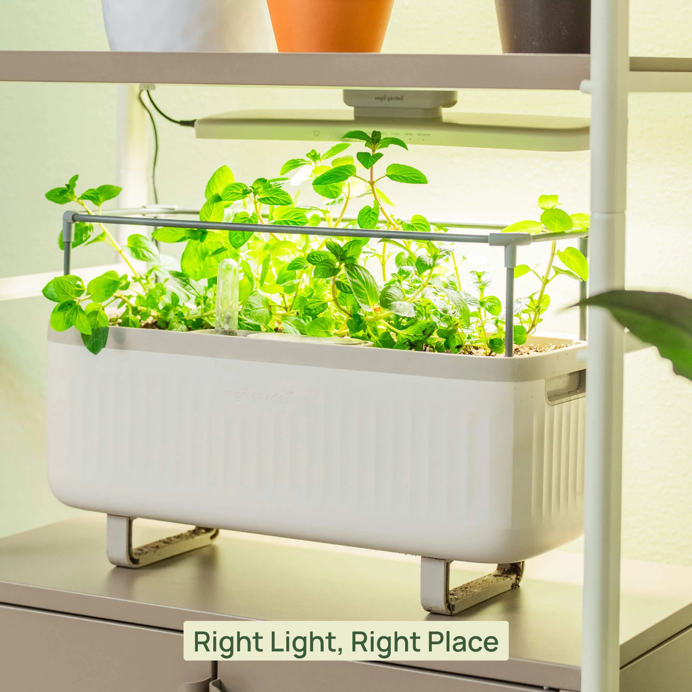 Classic Grow Light - Image 8