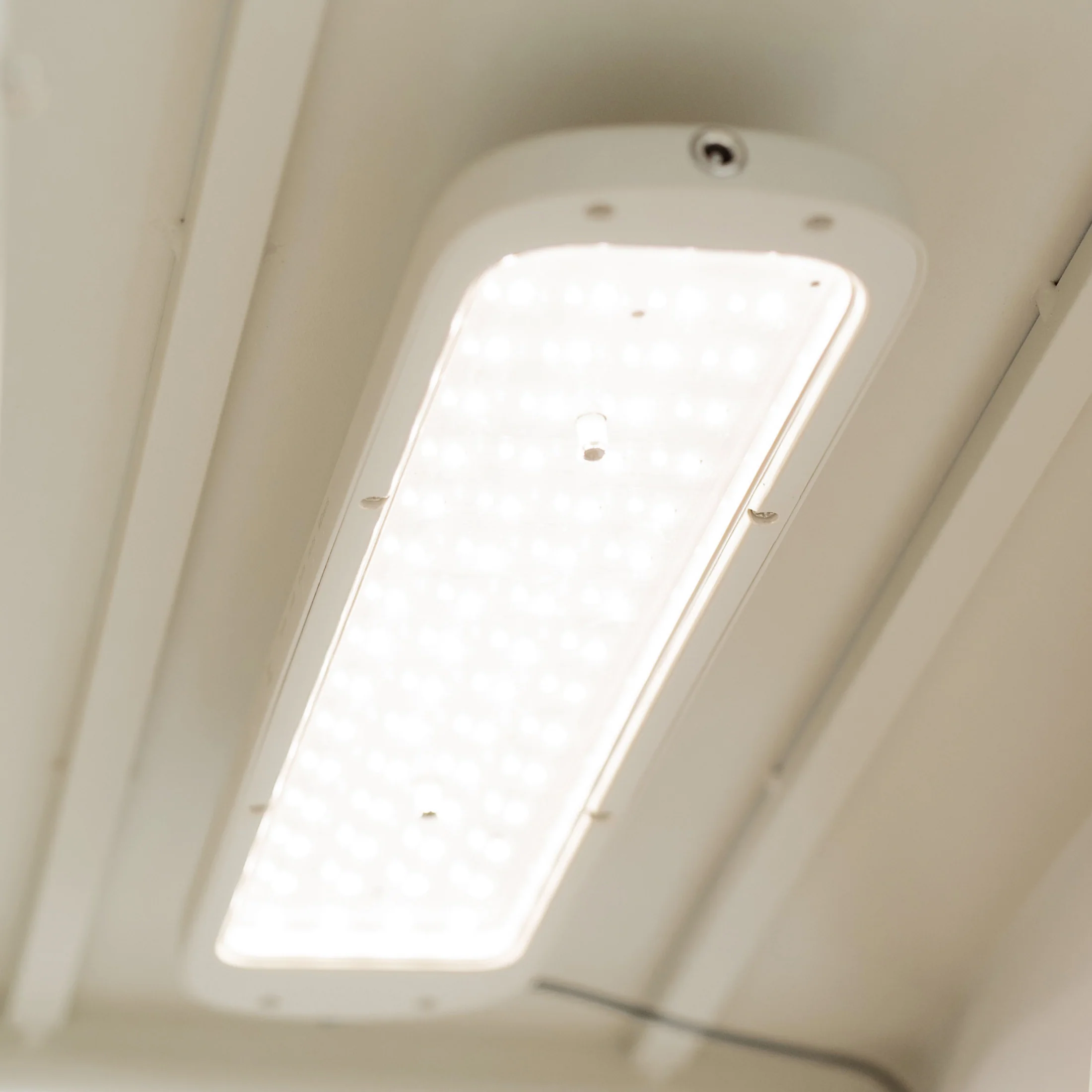 Classic Grow Light - Image 9