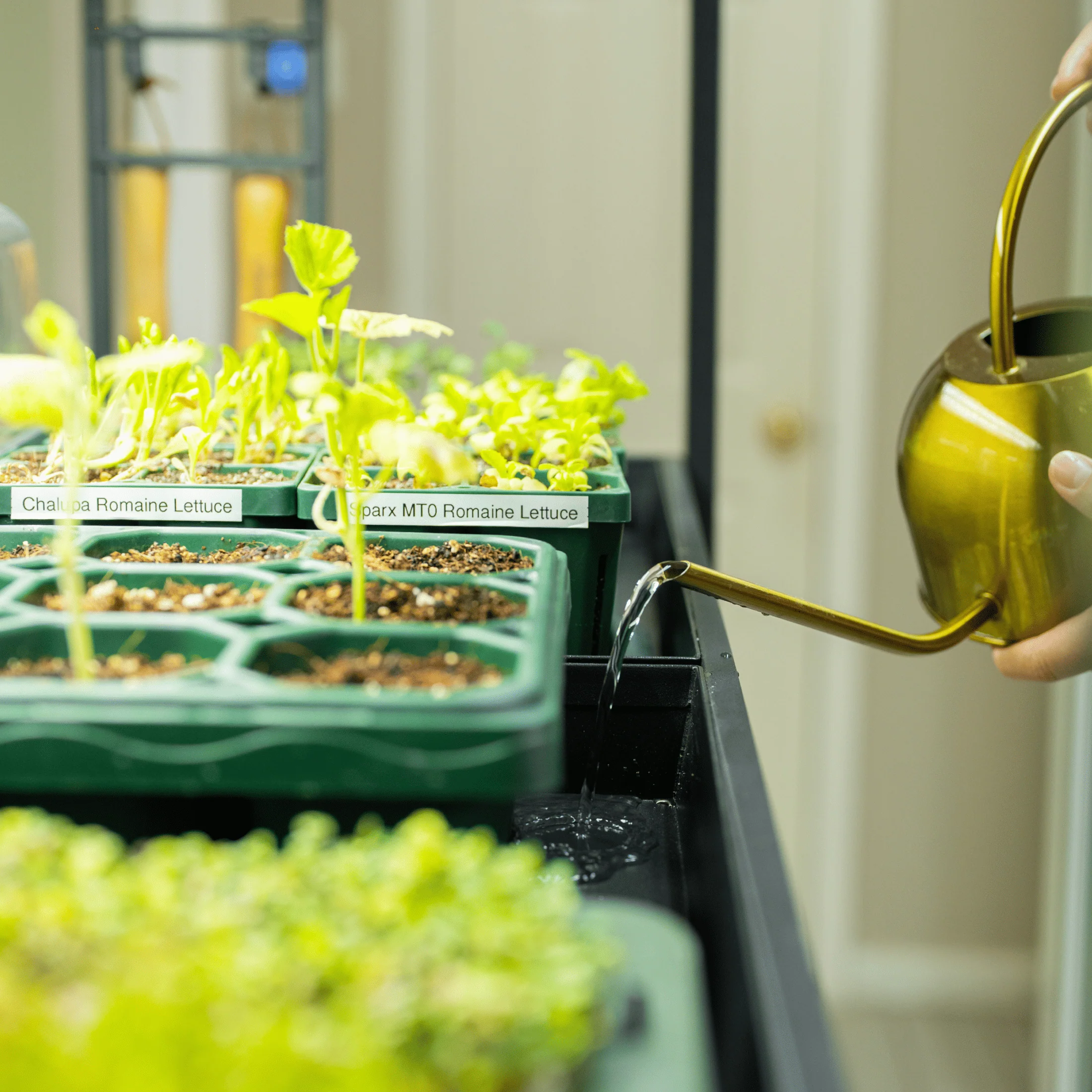 Ultimate Grow Light Garden - Image 14