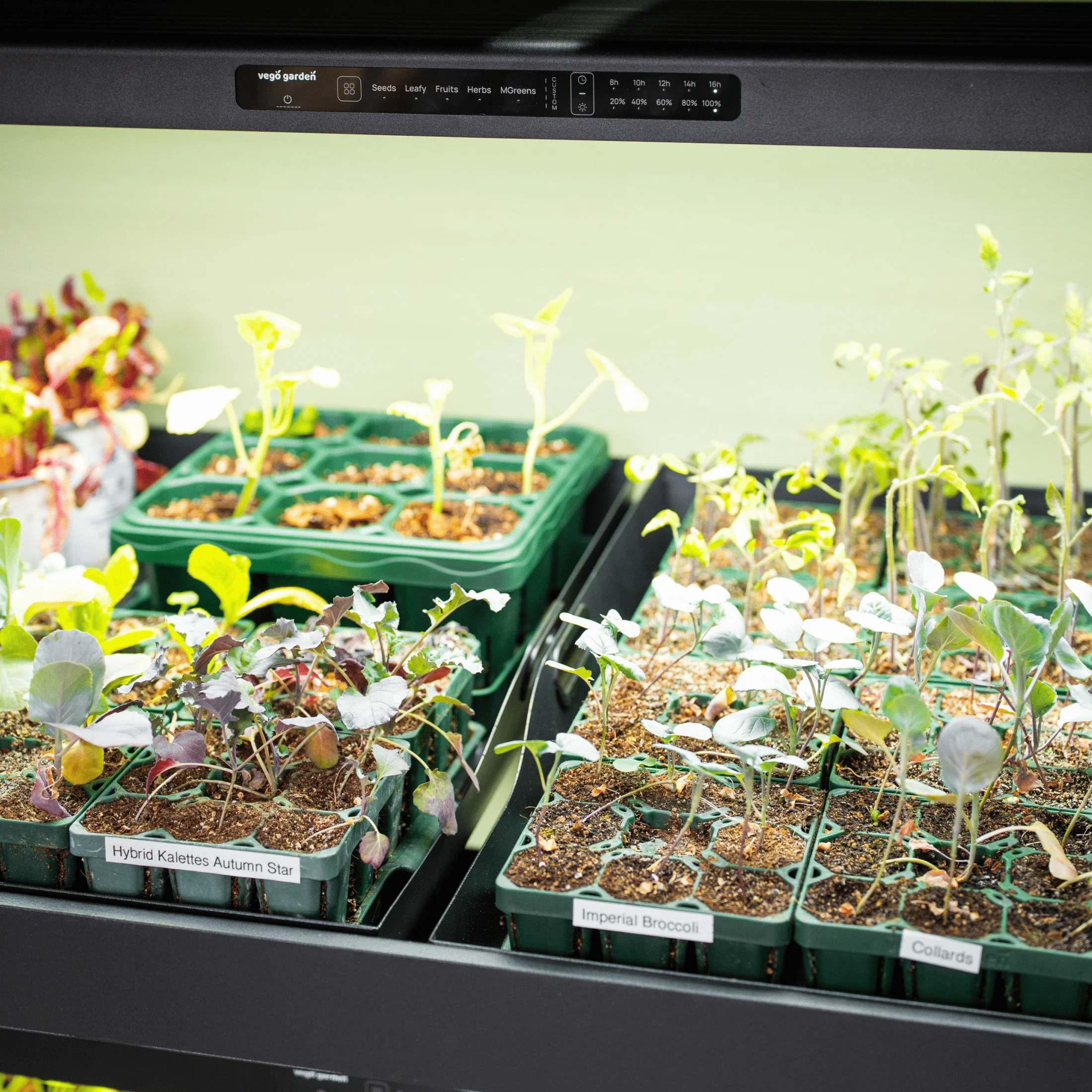 Ultimate Grow Light Garden with Storage - Image 19