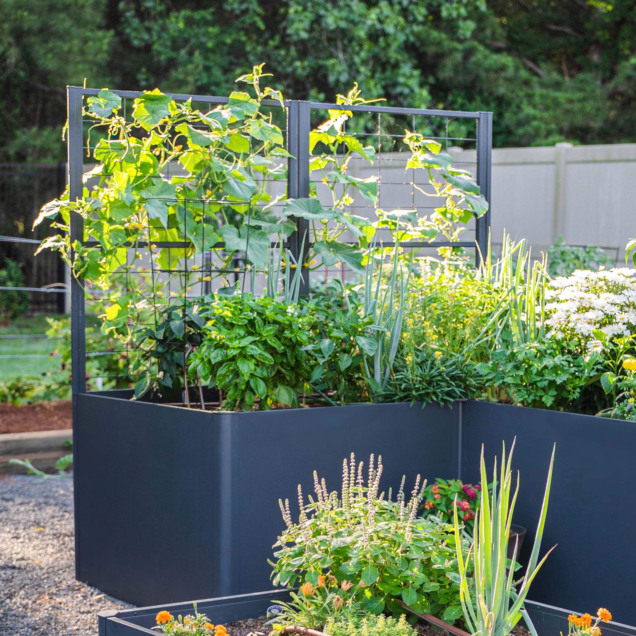 Vego Modern Privacy Trellis - Image 9